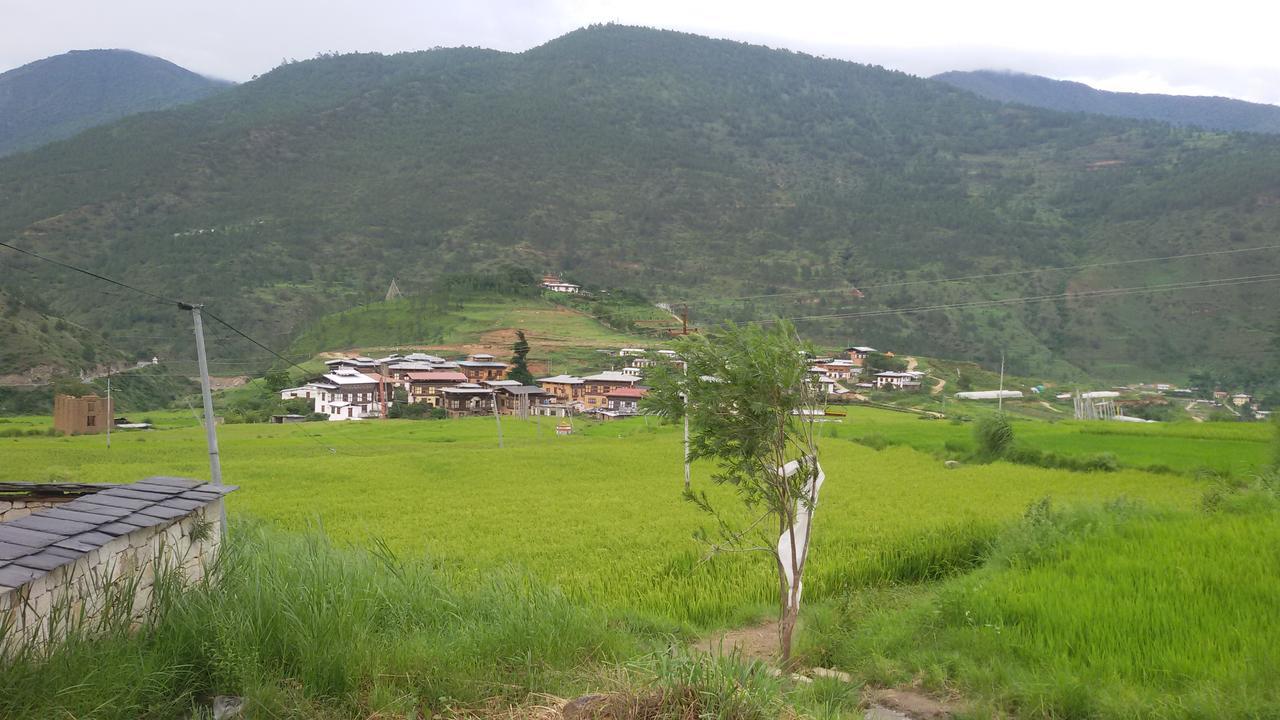 Chimi Lhakhang Village Homestay Пунакха Екстериор снимка